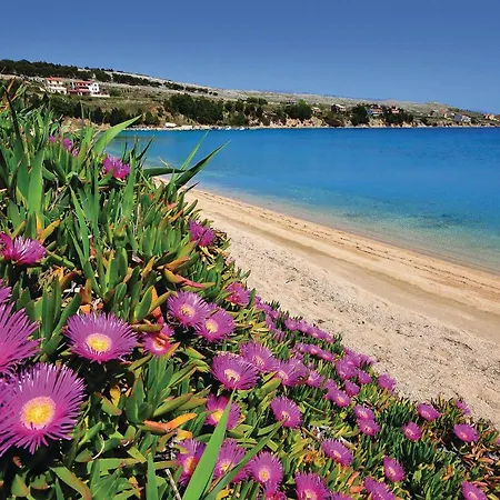 Διαμέρισμα 1 Bedroom Gorgeous In Pag
