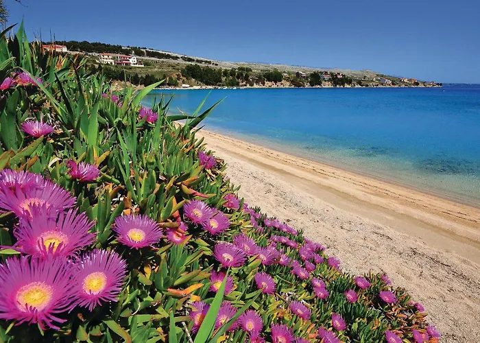 Appartement In Pag With Wifi